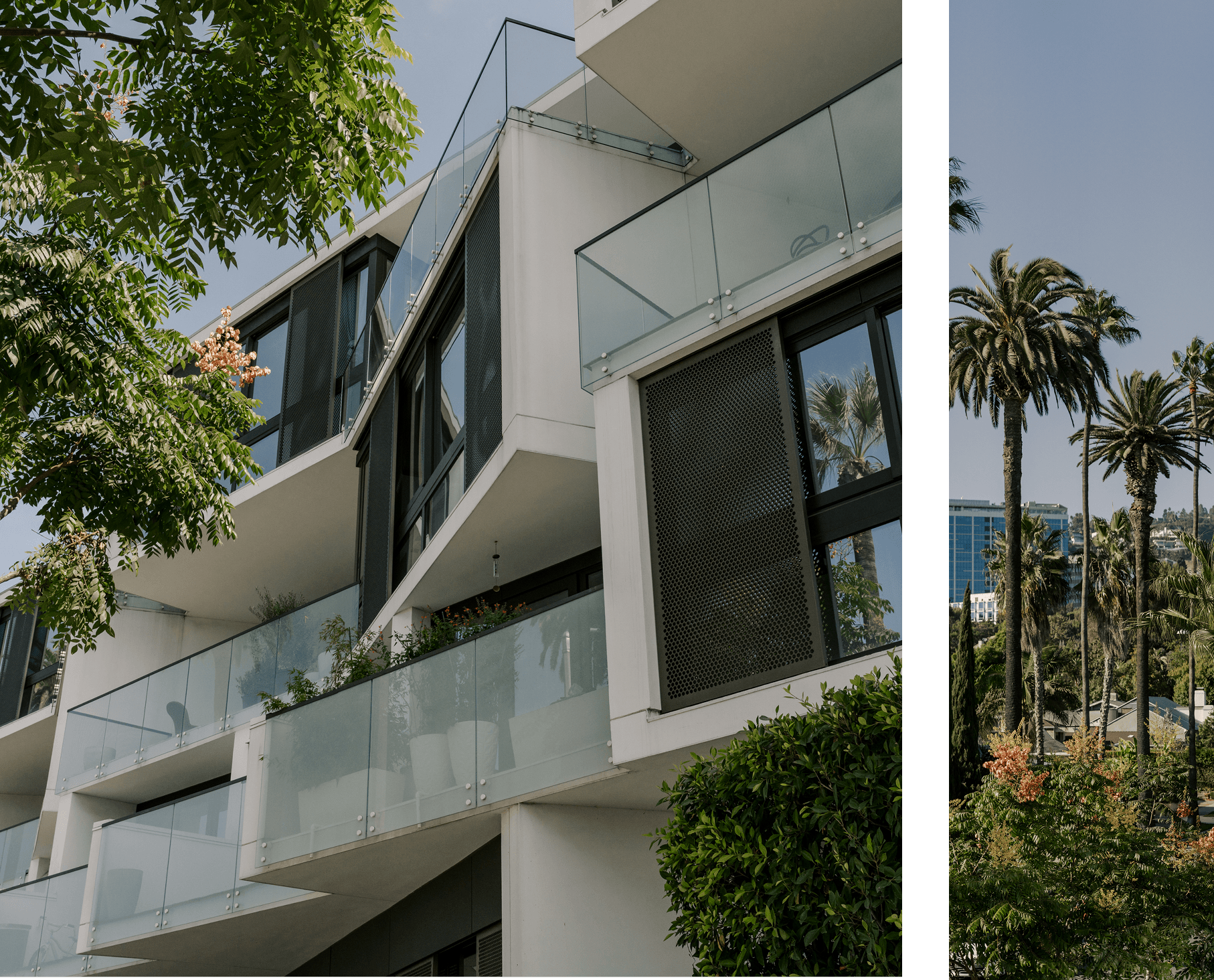 Graphic of the exterior architectural arch detail of The Harland residences, showing a modern curved structural element integrated into the building façade with clean lines and warm materials.