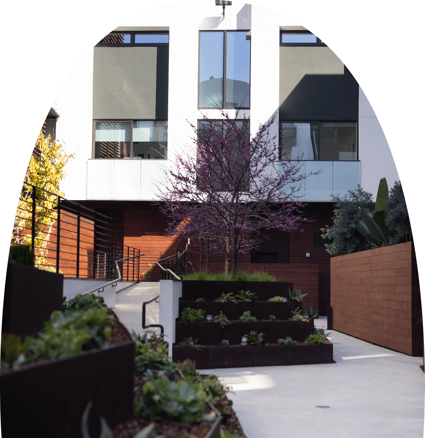 Lush landscaped courtyard at The Harland featuring greenery, trees, and modern outdoor seating within a residential building.