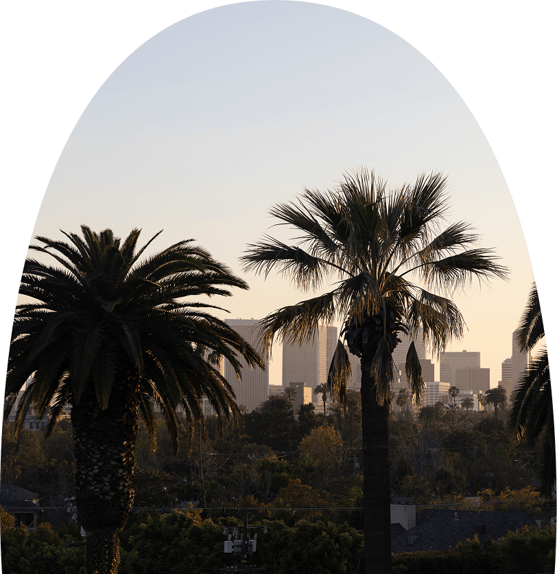 View from the rooftop of The Harland West Hollywood condominium building with palm trees and the skyline of Beverly Hills in the background