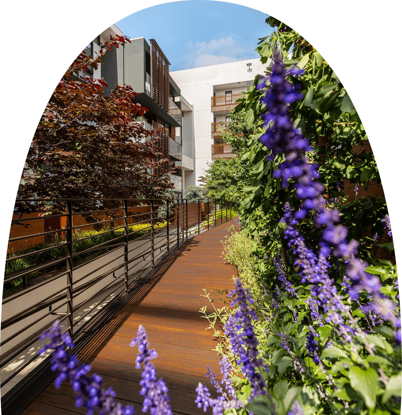 Lush landscaped courtyard at The Harland featuring greenery, trees, and modern outdoor seating within a residential building.